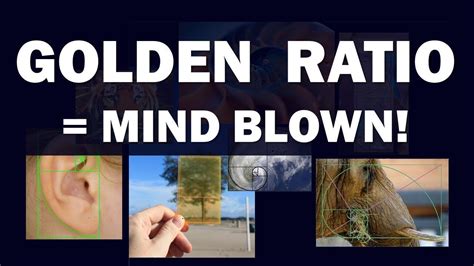 fibonacci sequence lottery|Golden Ratio = Mind Blown! .